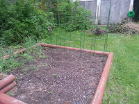 Pea trellis Pea trellis