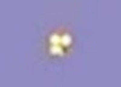 UFO Sightingd Orange UFO Captured Above Argentina 2015, UFO Sighting News