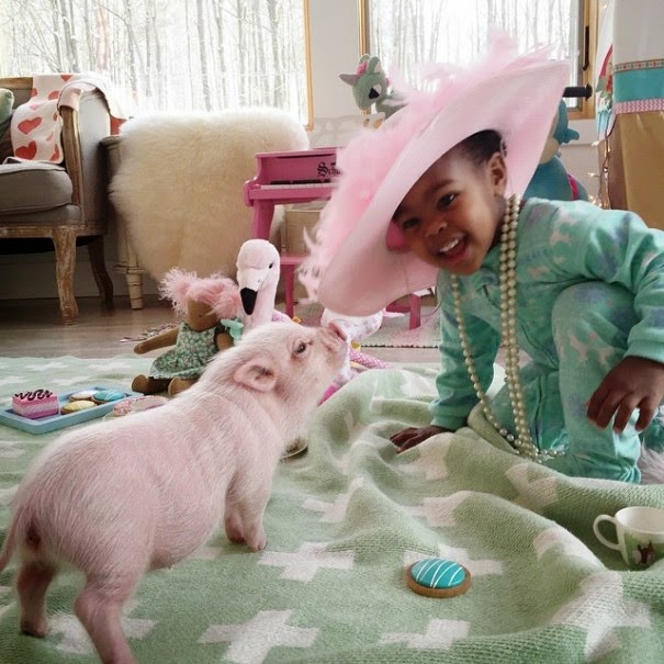 Lindsey writes, “God has blessed us so much through adoption and it is now my passion to share adoption love with others!” - The Heartmelting Friendship Of A 2-Year-Old Girl And Her Piglet Lindsey writes, “God has blessed us so much through adoption and it is now my passion to share adoption love with others!” - The Heartmelting Friendship Of A 2-Year-Old Girl And Her Piglet