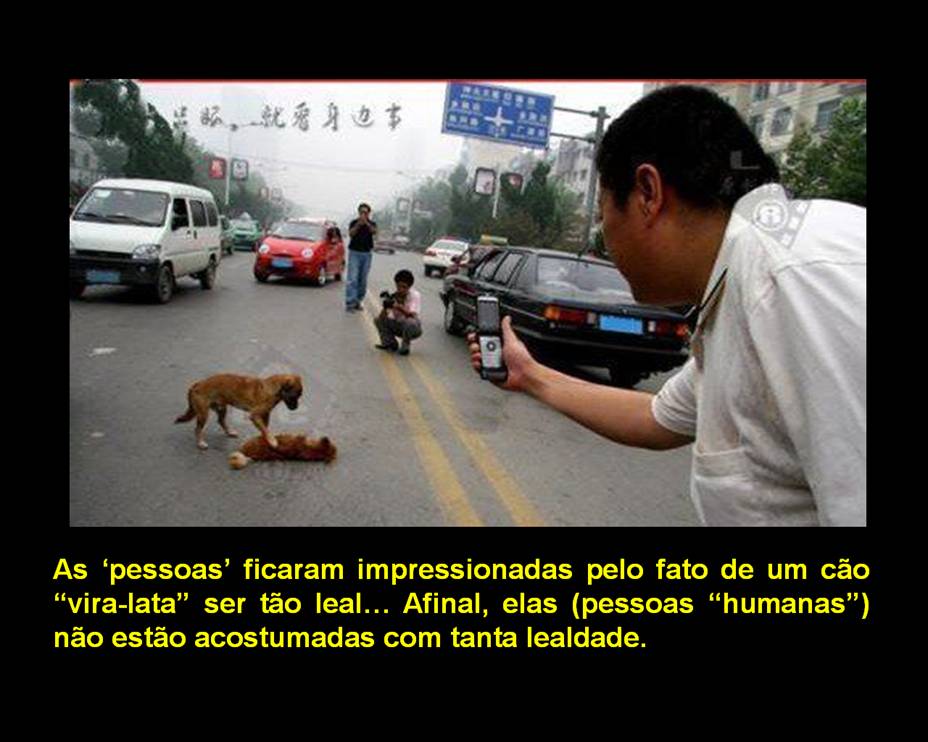 Conexões e Reflexões na Transição Planetária: Comportamento - HOMENS x