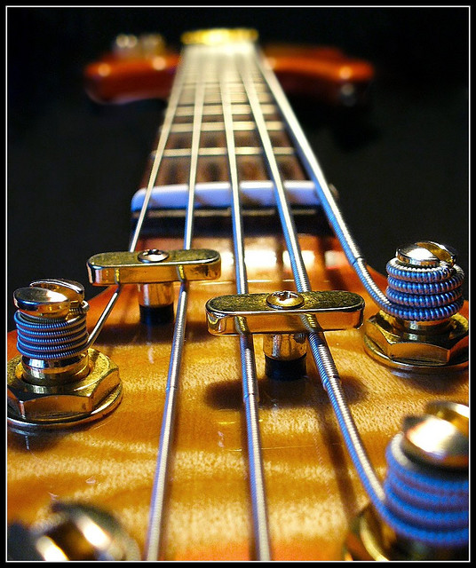 School Of Digital Photography Macro Photography Subjects Seeing