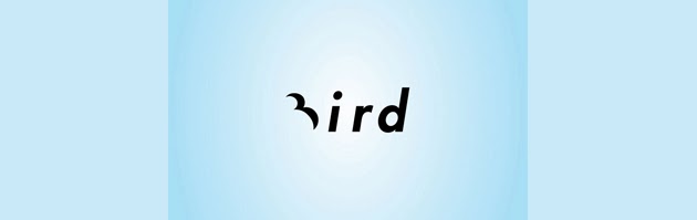Bird Bird