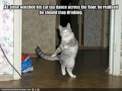 Cat funny picture