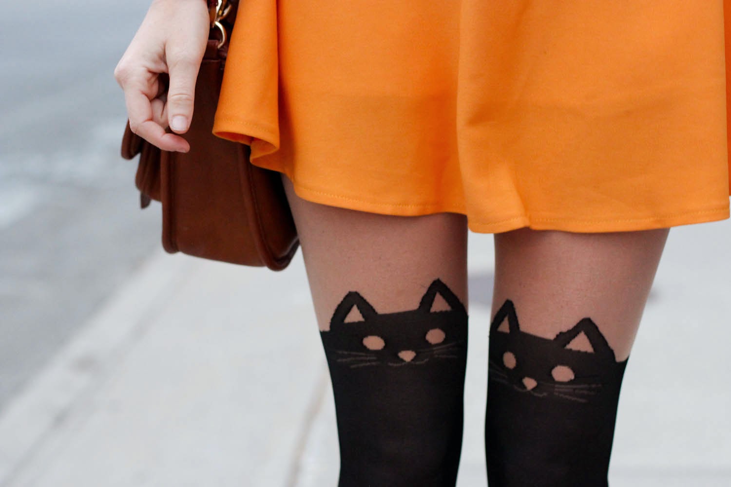cat tights, fall style cat tights, fall style