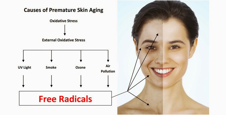 Coconut Oil for Skin Care for Anti-Aging