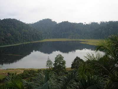 bagang bugis