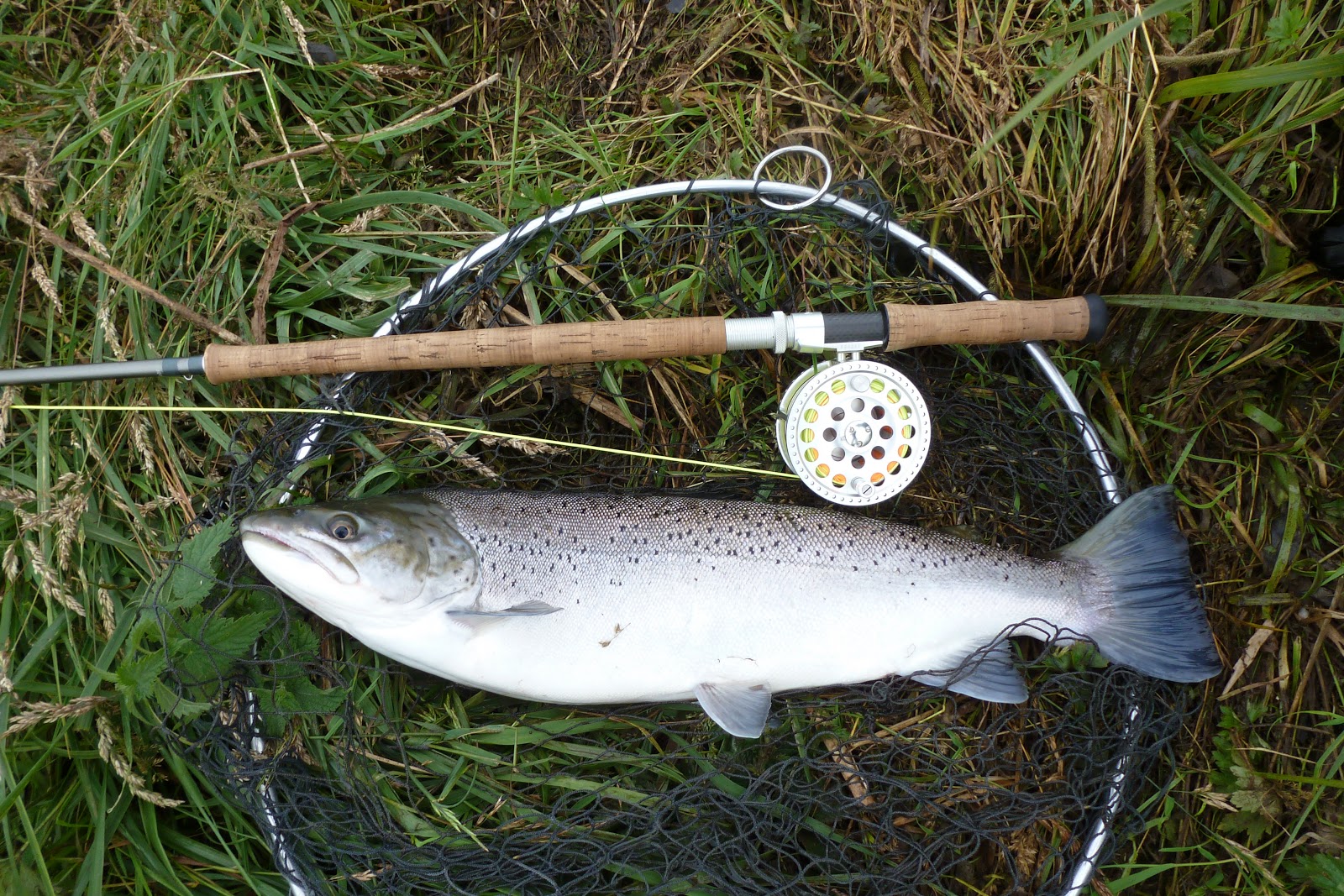 Adventures with a Salmon rod: Long term test - Hardy Swift Mk II