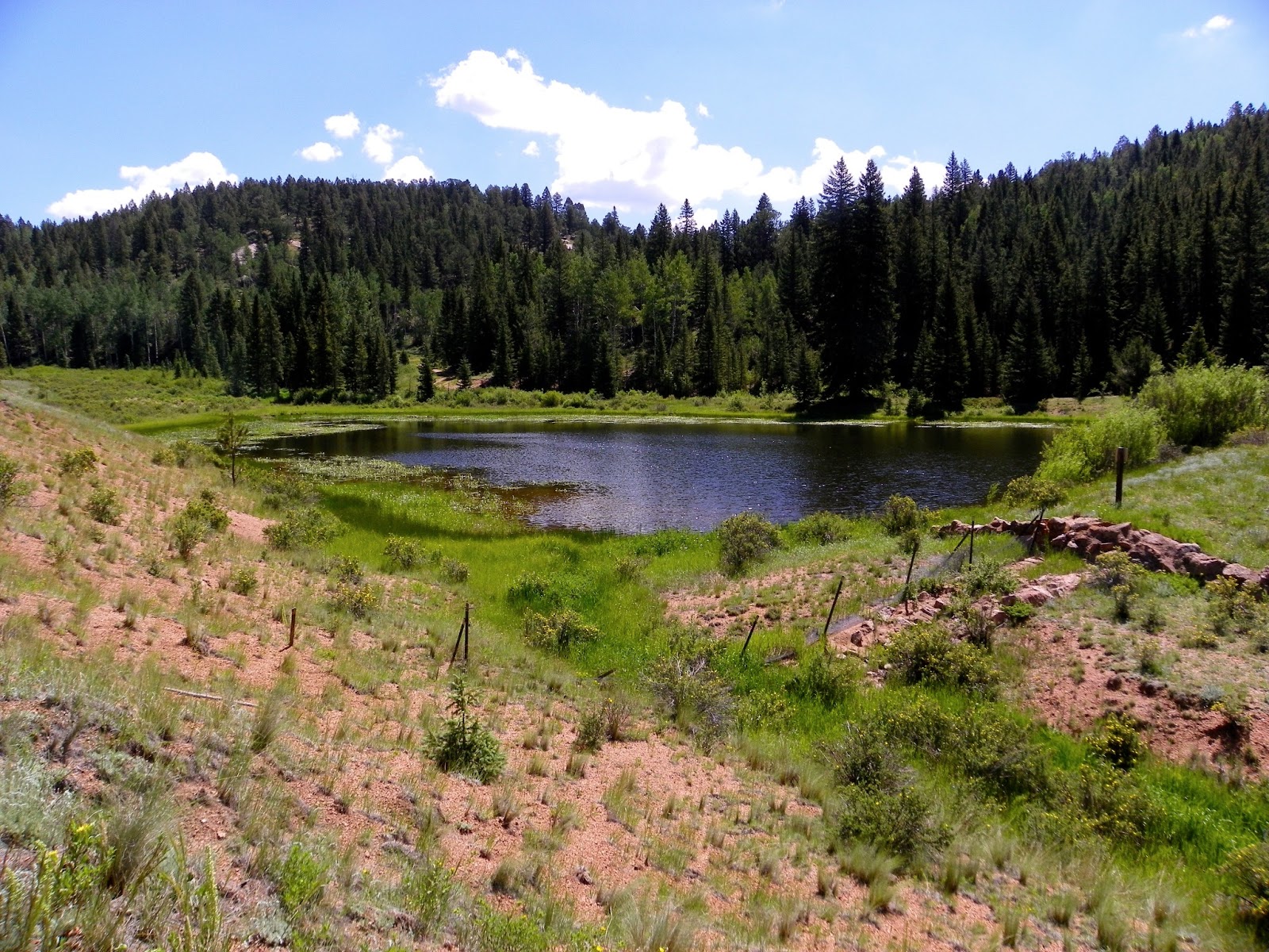 Otowi Mueller State Park 7/18/13