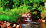 Fotografías de ríos y paisajes naturales (7 postales)