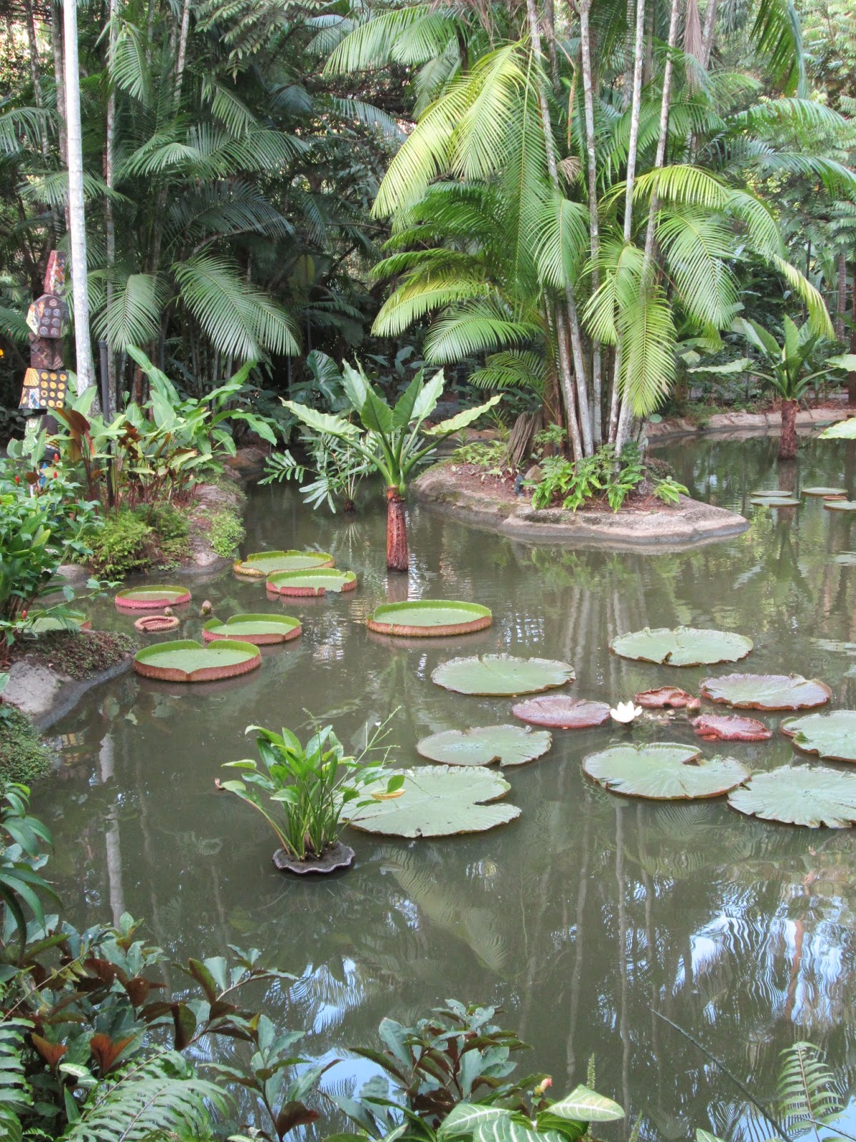 Singapore Botanical Garden