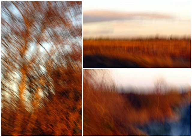   Colourful collage © Annie Japaud Photography, blur, motion,  
