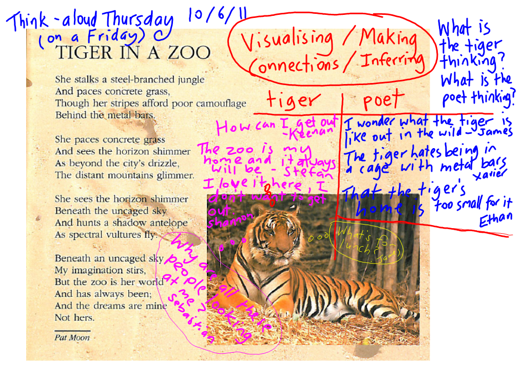 Room 18 Parkvale School June 2011