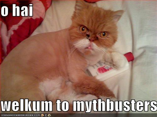 Funny Pictures of animals funny pictures 99