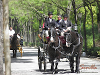Paseo en carro de caballos por Sevilla