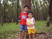 Hutan Karet Di Mijen Semarang