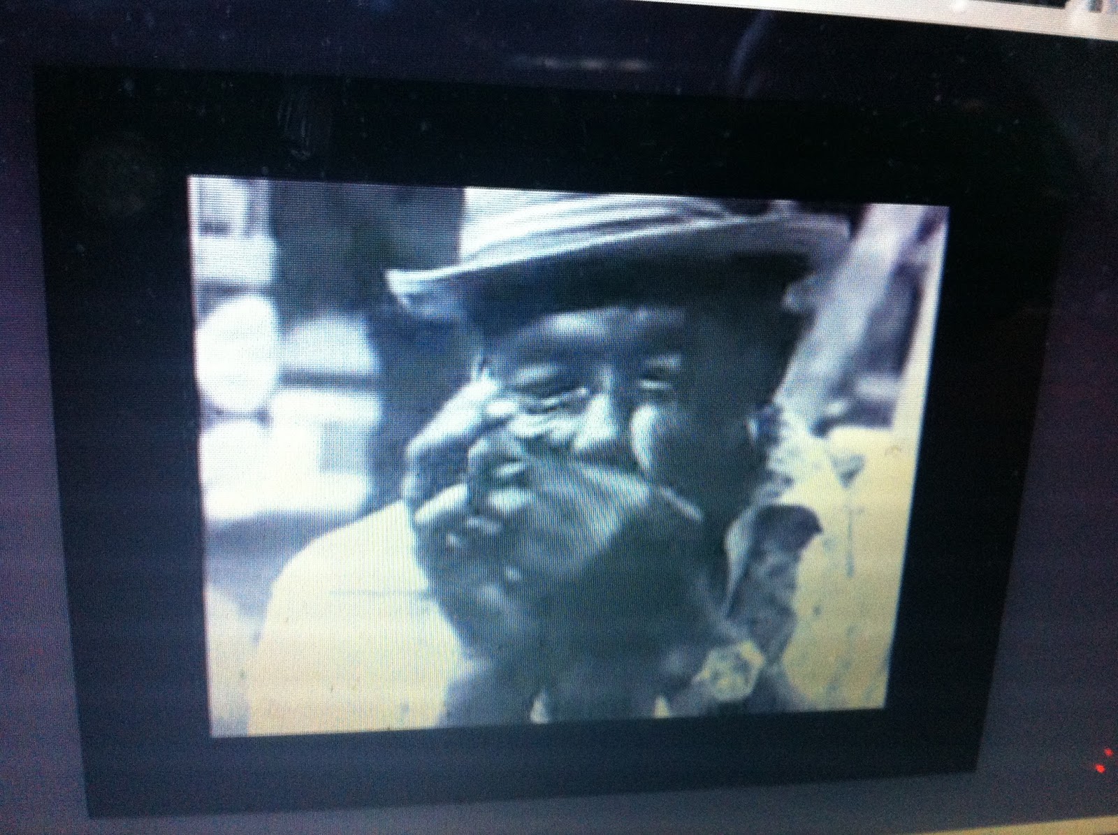 THE BLACK SOCIAL HISTORY BLACK SOCIAL HISTORY AFRICAN AMERICAN