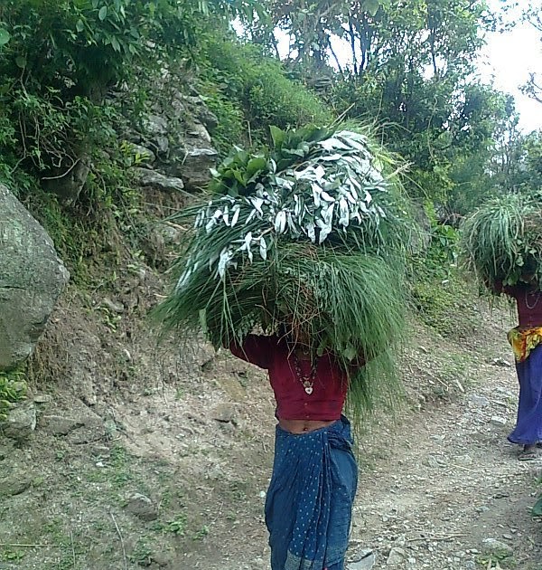 Three Days And Much To Learn - Part 2