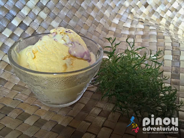 Magnolia Ice Cream - Best of the Philippines Collection