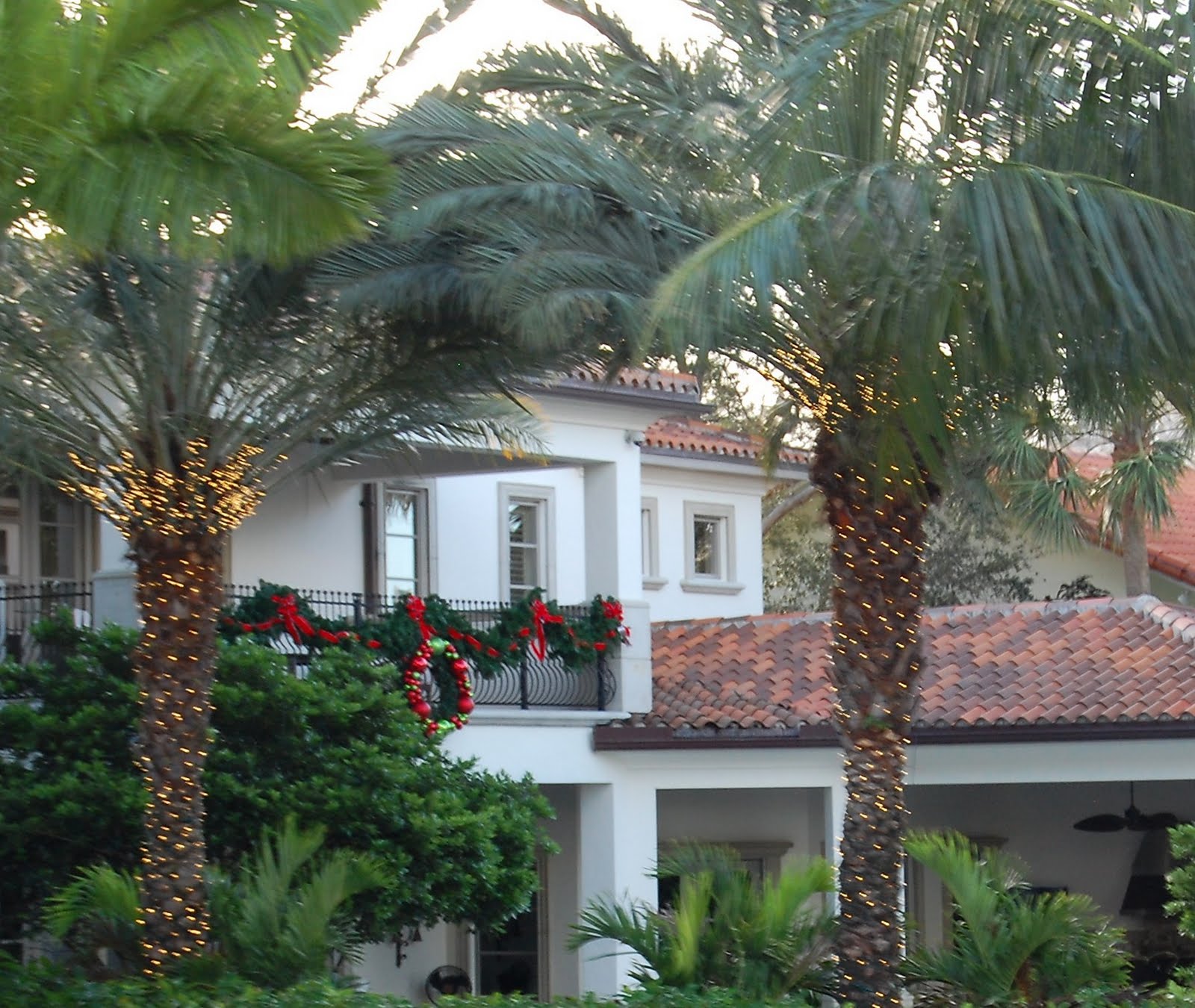 Recollections of a Vagabonde Christmas in the Tropics