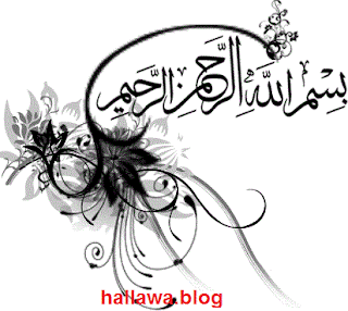hallawa.blog