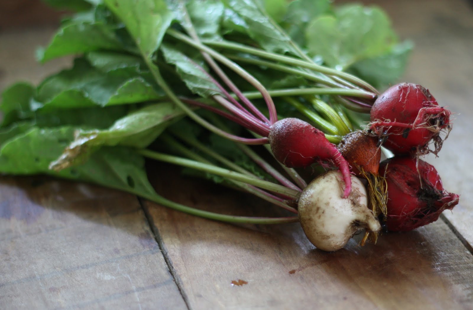 E.A.T. Beets or Radishes? Beets me.....