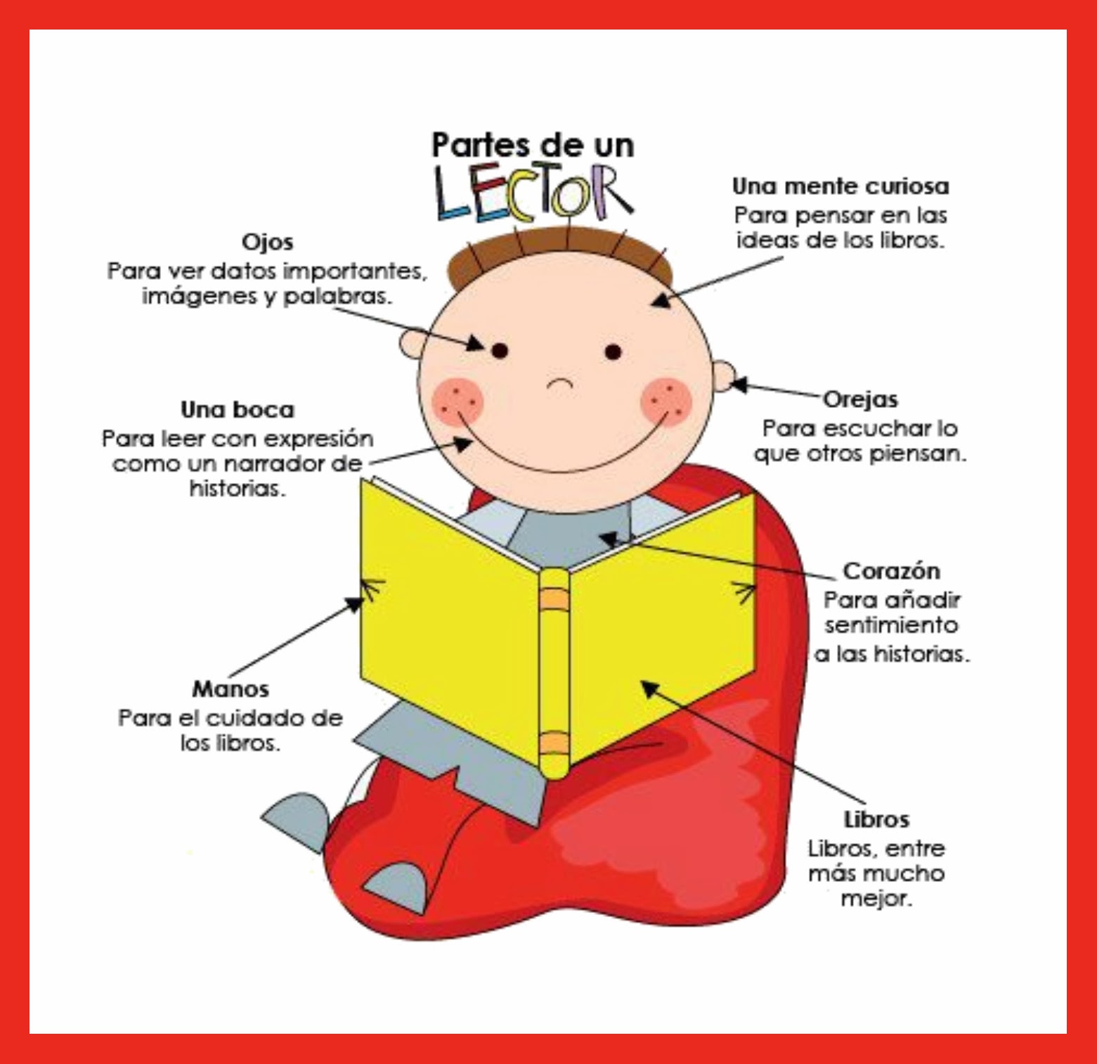 Partes de un lector