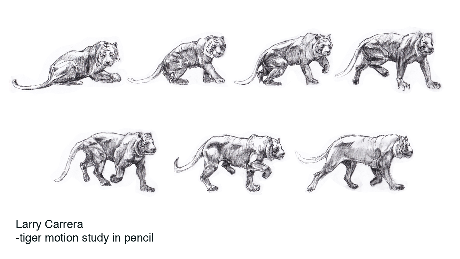 Larry C's ART... my animal sketches, and motion studies