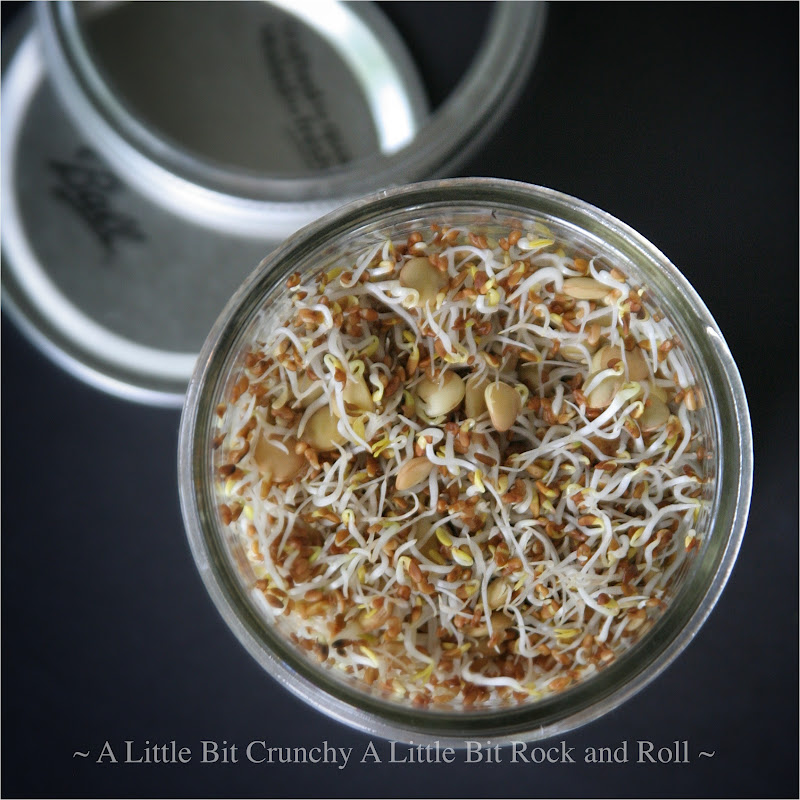 A Little Bit Crunchy A Little Bit Rock and Roll Sprouting 101 (How to