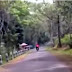 Air Terjun Coban Rondo Malang