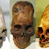 DNA Analysis of Paracas Elongated Skulls Released: Unknown To Any Human, Primate, or Animal