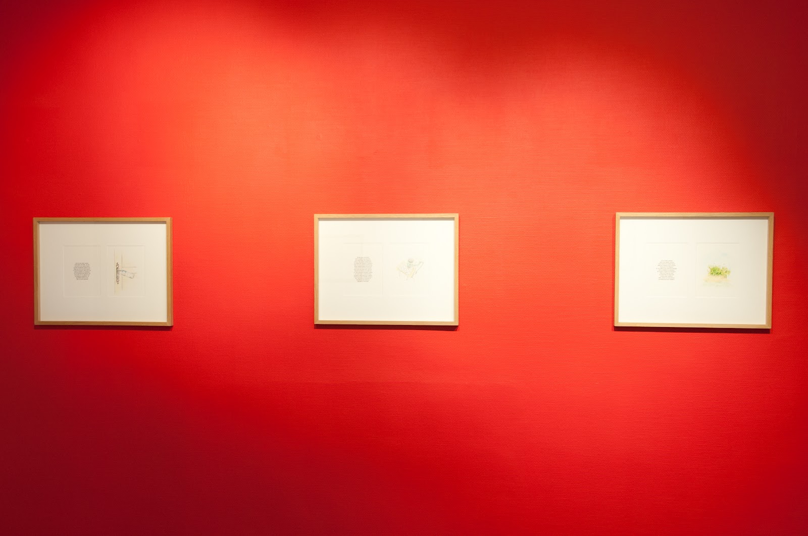 extrai video amateur