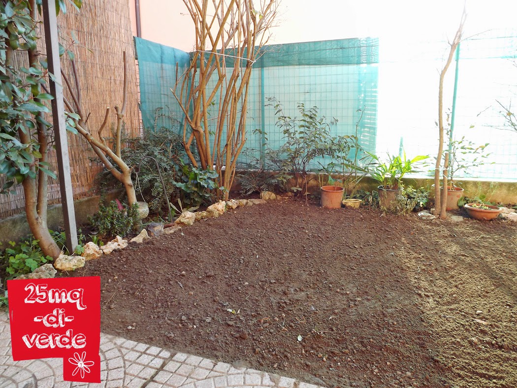 Anno nuovo, prato nuovo! 25mq di verde Decorazione Giardino Vialetto