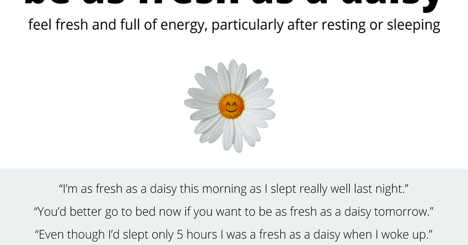 English is FUNtastic Idioms Be as fresh as a daisy