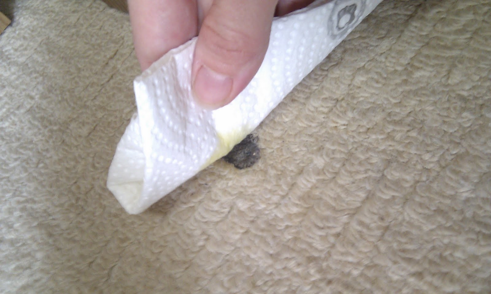 Mrs H the blog How to get chewing gum out of carpets