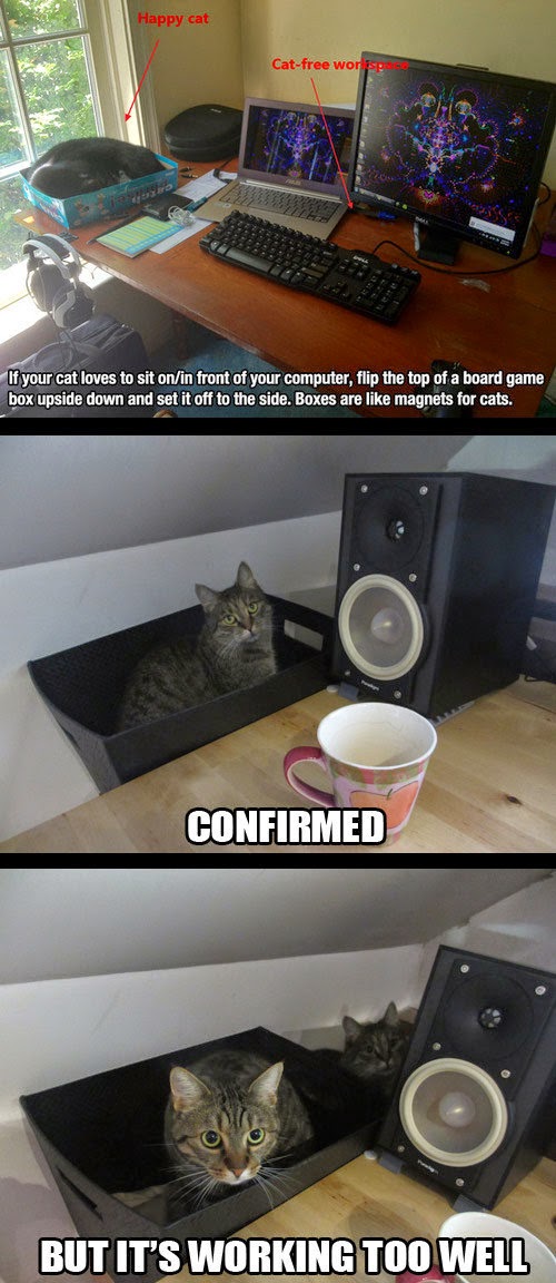 26 Hacks That Will Make Any Cat Owner’s Life Easier DIY Craft Projects