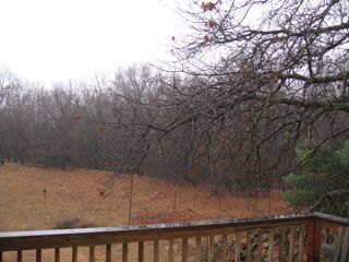 wet day photo of a rainy day