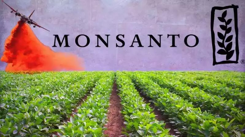 Διεθνή παράπονα για τα χημικά της Monsanto που καταστρέφουν τις καλλιέργειες Διεθνή παράπονα για τα χημικά της Monsanto που καταστρέφουν τις καλλιέργειες