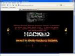 Website Hacking