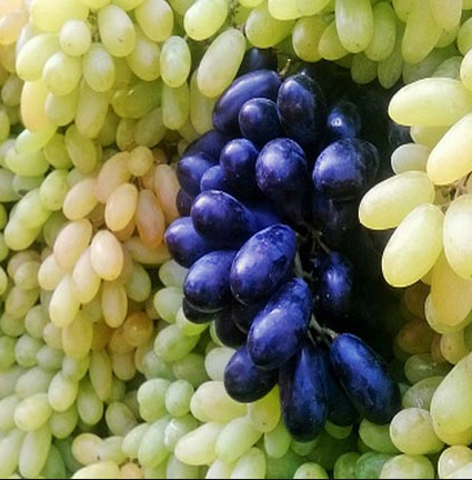 Grapes for Desi Treatment