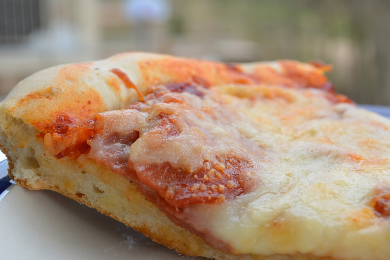 Ladybug's Landing Best Ever Pizza Dough