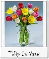 Bunga Tulip