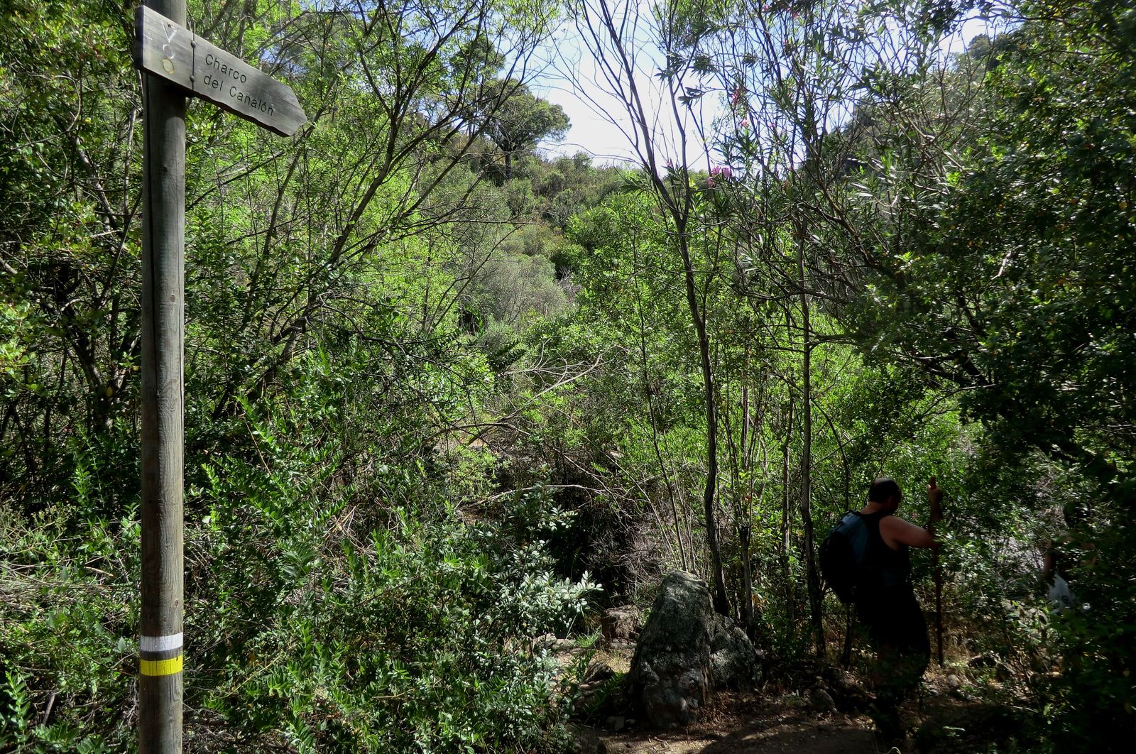 Comando preston: El río Verde de Istán, descenso desde el charco del