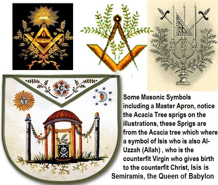 DMT والسفر النجمي  Acacia+tree+mason