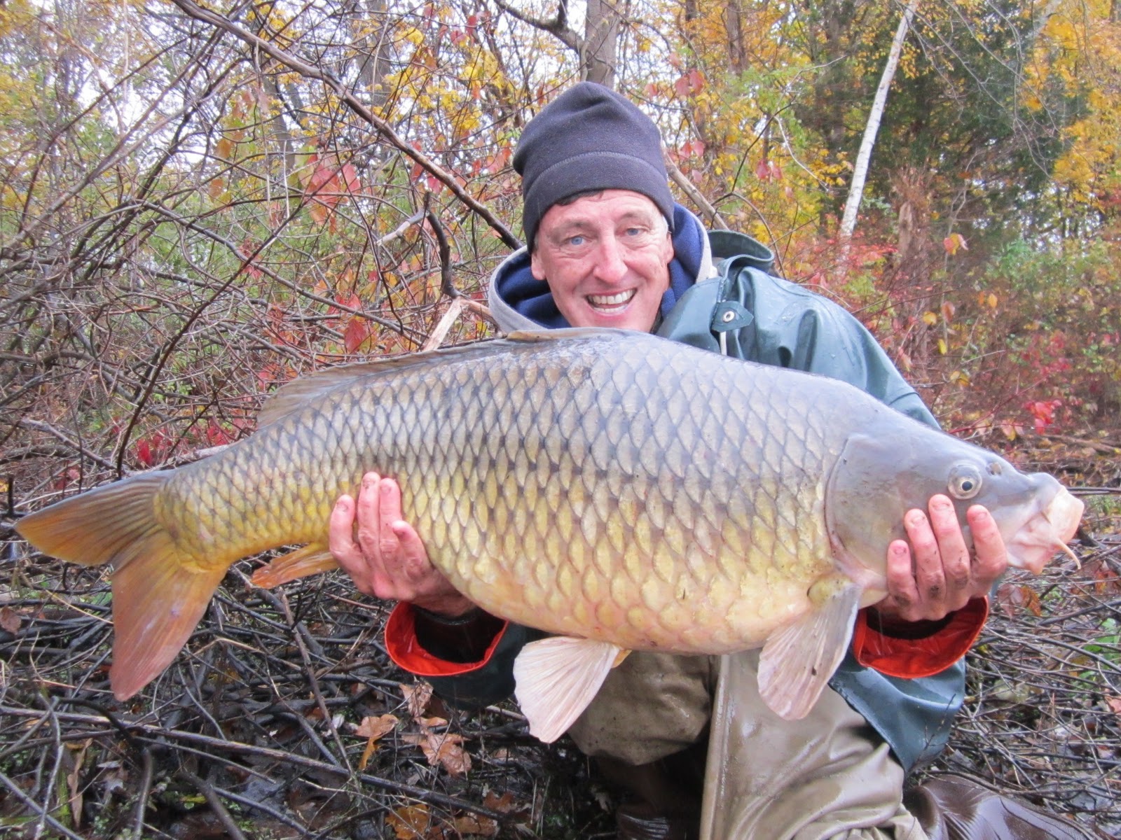 Largest Carp