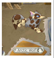 Animal jam toy club geoz Animal Jam Spirit: Rare Headdress