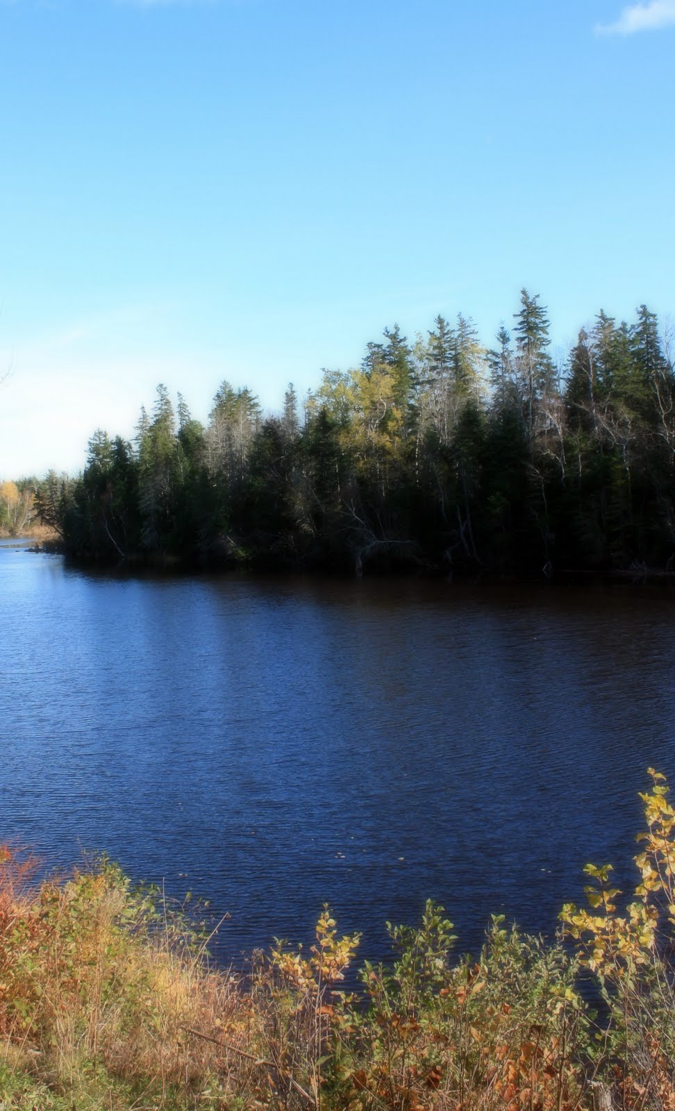 Carol Steel Shediac River, New Brunswick
