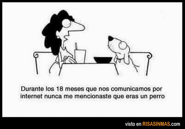 comunicandose-por-internet