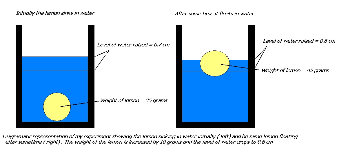 My Experiments And Results Why Does A Lemon Sink In Water