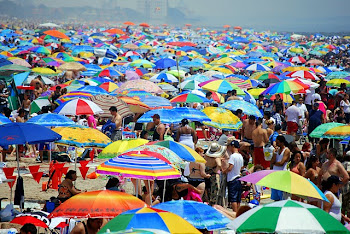 Coney Island Summer