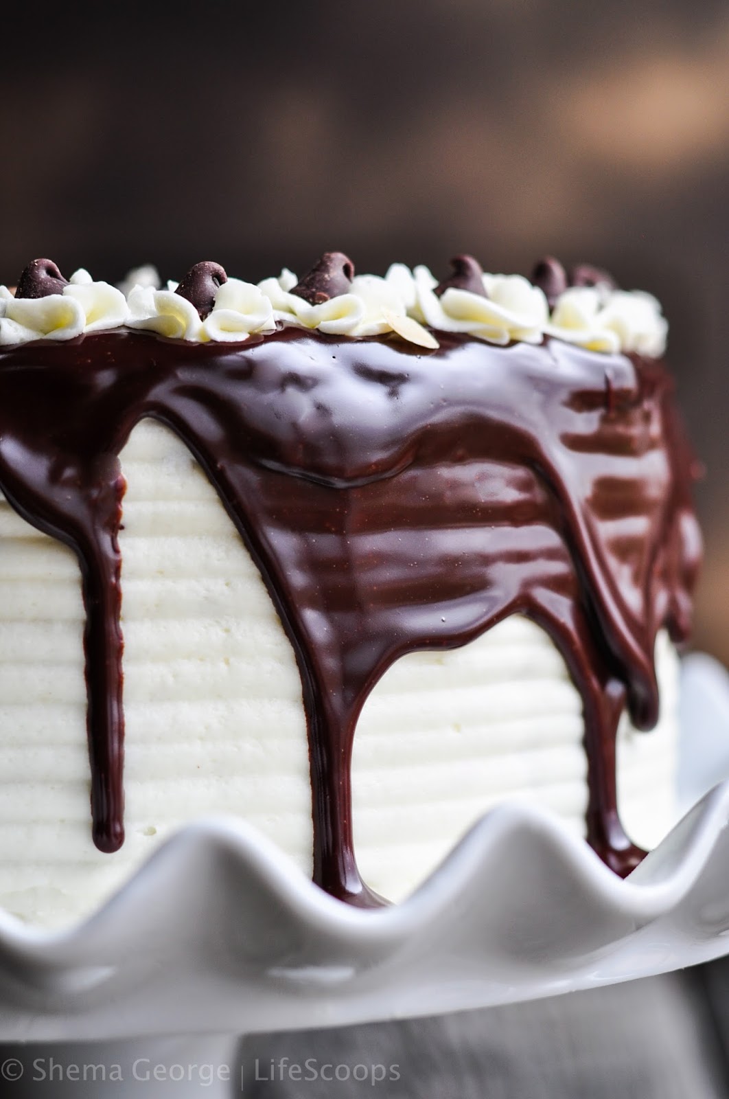 Life Scoops Almond Joy Cake (Layered chocolate cake with coconut